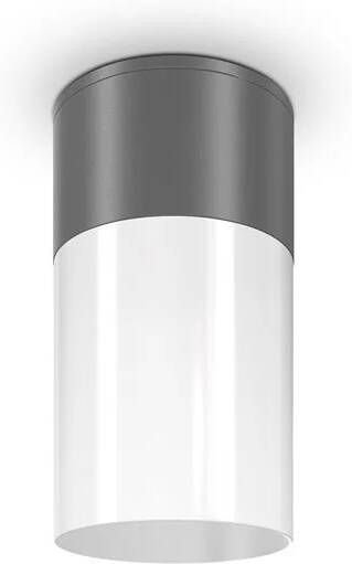 Maytoni Outdoor Plafondlamp Willis Grafiet Ø8