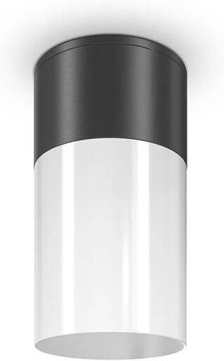 Maytoni Outdoor Plafondlamp Willis Zwart Ø8
