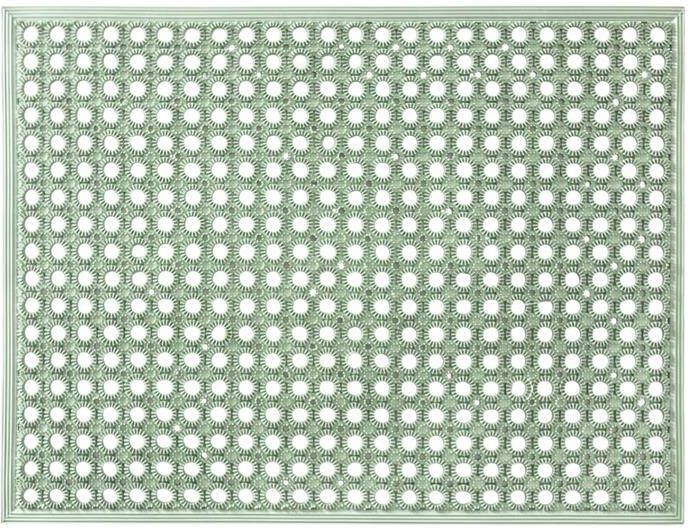 MD-Entree Deurmat Outdoormat Lizzy Desert Sage 48 x 62 cm