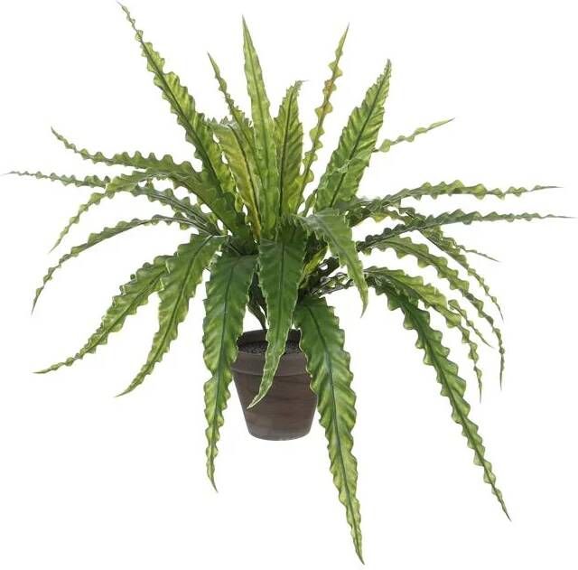 Mica Decorations Asplenium Kunstplant in Bloempot Stan H54 x Ø66 cm Groen