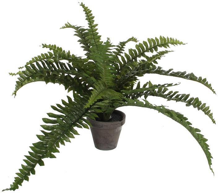 Mica Decorations Boston Varen Kunstplant H35 x Ø45 cm Groen
