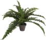 Mica Decorations Boston Varen Kunstplant in Bloempot Stan H35 x Ø45 cm Groen - Thumbnail 2