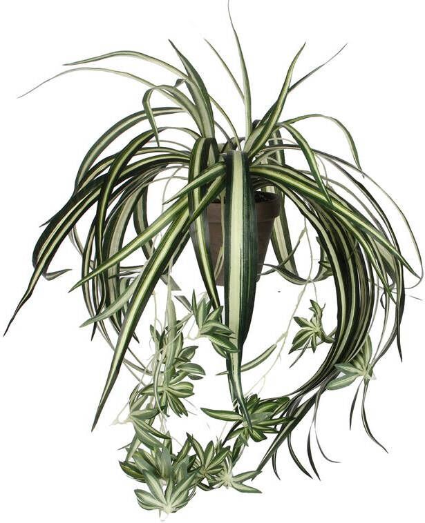 Mica Decorations Chlorophytum Kunstplant 45 cm