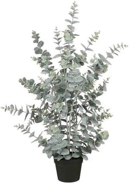 Mica Decorations Eucalyptus Kunstplant in Pot H97 x Ø38 cm Groen