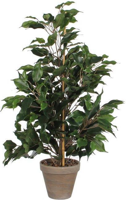 Mica Decorations Ficus Exotica Kunstplant in Bloempot Stan H60 x Ø35 cm Groen - Foto 2