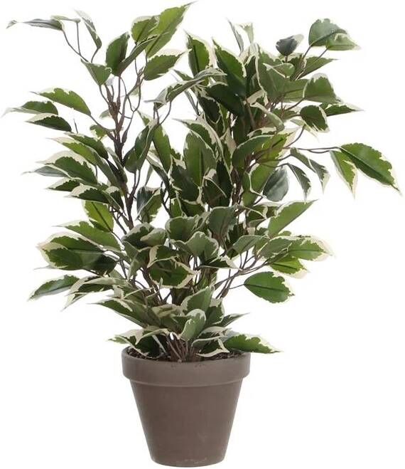 Mica Decorations Groen witte ficus kunstplant 40 cm Kunstplanten