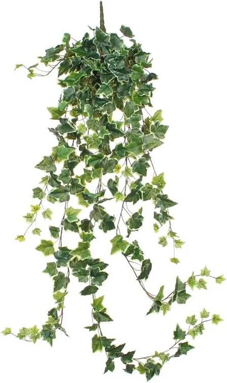 Mica Decorations Hedera Kunstplant Hangend L24 x B15 x H130 cm Bont