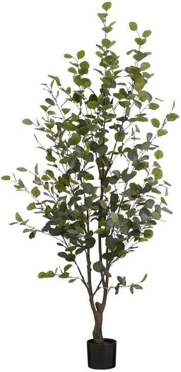 Mica Decorations Kunstboom Eucalyptus 80x80x180 Cm Polyester Groen