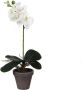 Merkloos Sans marque Kunstplant Orchidee Phalaenopsis Wit H 48cm Keramiek sierpot Mica Decorations - Thumbnail 2