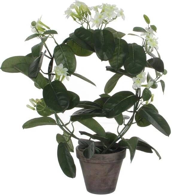 Mica Decorations Stephanotis Kunstplant H50 x Ø40 cm Wit