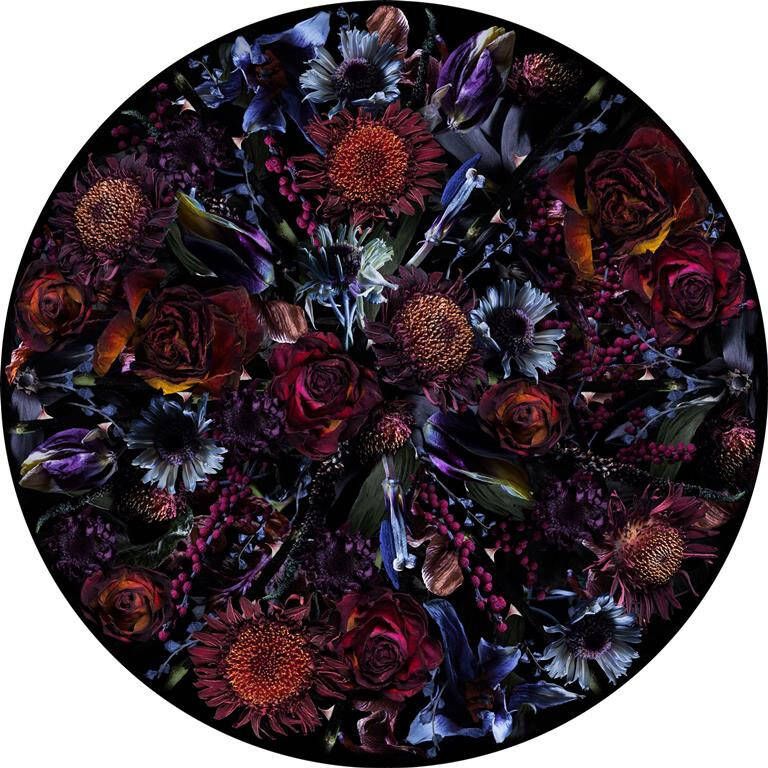 Moooi Carpets Fool's Paradise vloerkleed 350