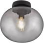 Nordlux Plafondlamp Alton Gerookt Zwart ⌀27 5cm E27 - Thumbnail 2