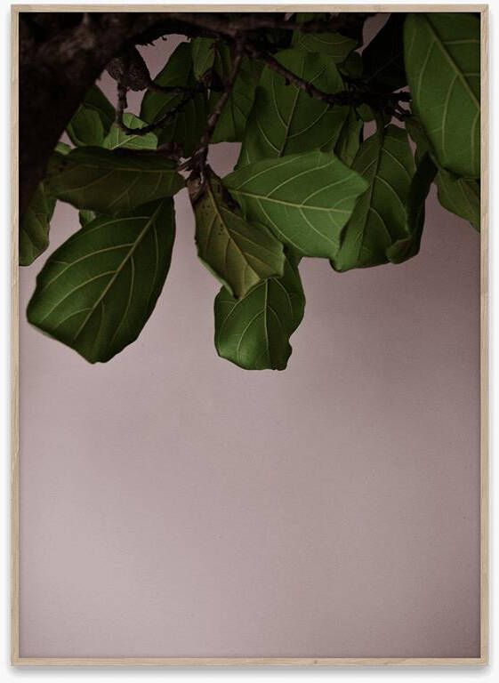 Paper collective Poster Norm Architects Green Leaves 30x40