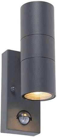QAZQA Buitenwandlamp antraciet 2-lichts IP44 met bewegingssensor