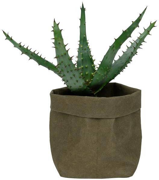 QUVIO Plantenzak uitwasbaar 9x9x15cm Donker groen