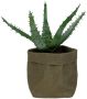 QUVIO Plantenzak Bloempot voor binnen Plantenbak Tuinieren Bloemen Plantenpot Planten houder Milieuvriendelijk Kraftpapier 9 x 9 x 15 cm (lxbxh) Donkergroen - Thumbnail 2