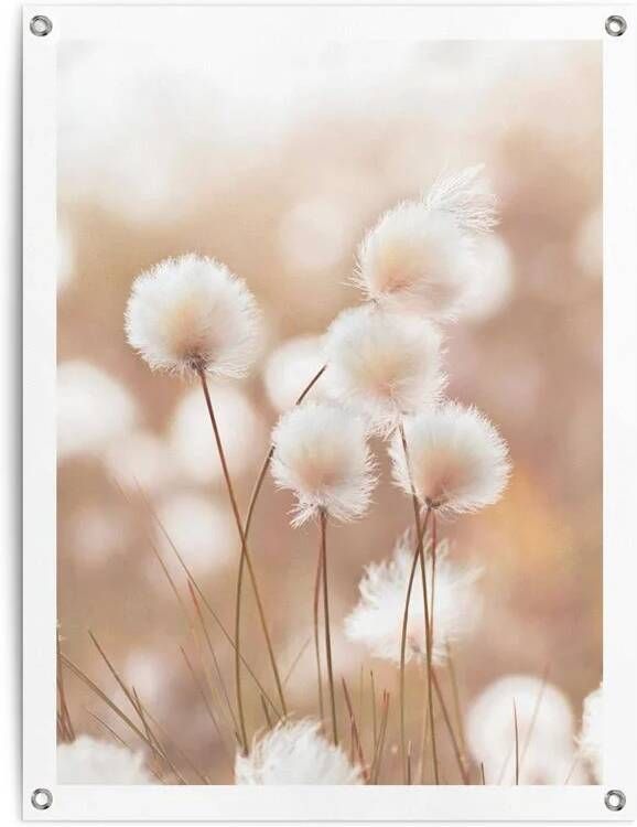 Reinders Cotton Field Tuinposter 80x60cm