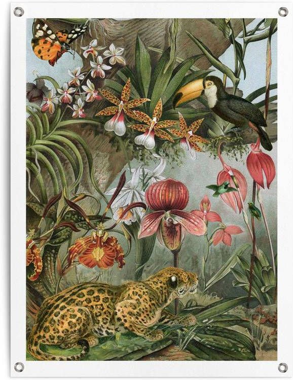 Reinders Jungle Flowers Tuinposter 80x60cm