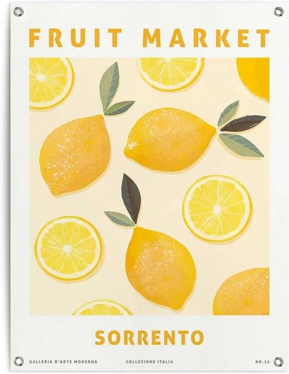 Reinders Lemons Tuinposter 80x60cm