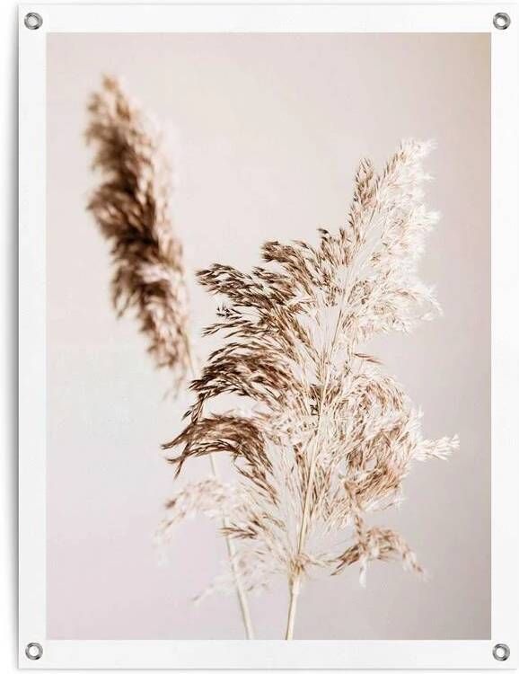 Reinders Shadow Grass Tuinposter 80x60cm