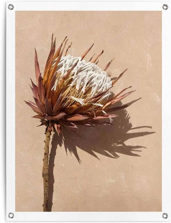 Reinders Shadow Still Tuinposter 80x60cm