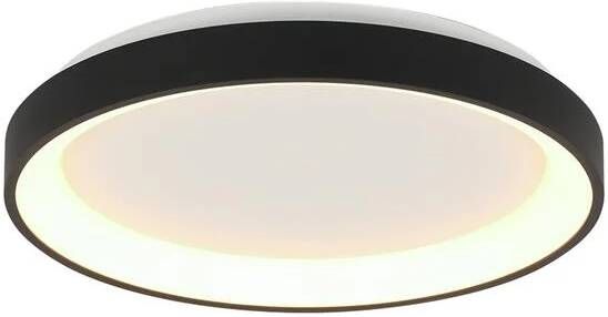 Steinhauer plafonniere Ringlede zwart metaal 28 cm ingebouwde LED-module 3690ZW