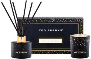Ted Sparks Gift Set Geurkaars & Geurstokjes Diffuser Cinnamon & Spice