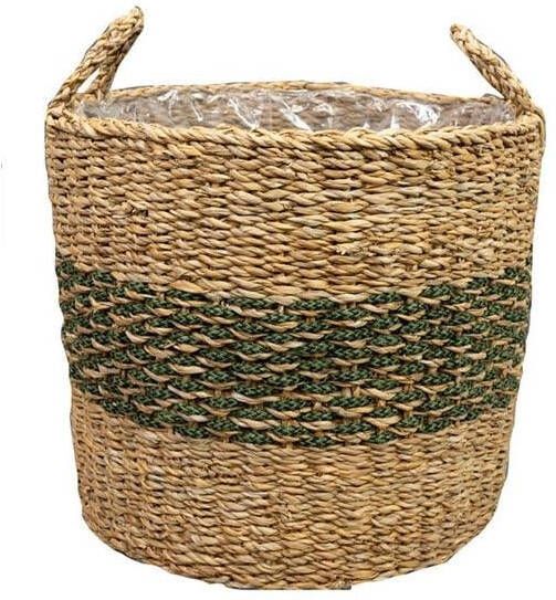 Ter Steege Plantenmand voor Binnen Zeegras Beige-Groen D 38 cm H 33 cm