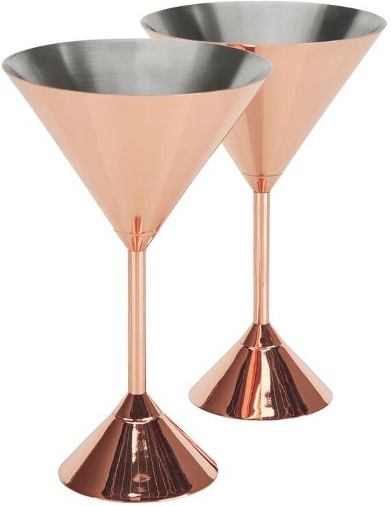 Tom Dixon Plum Martini glas set van 2
