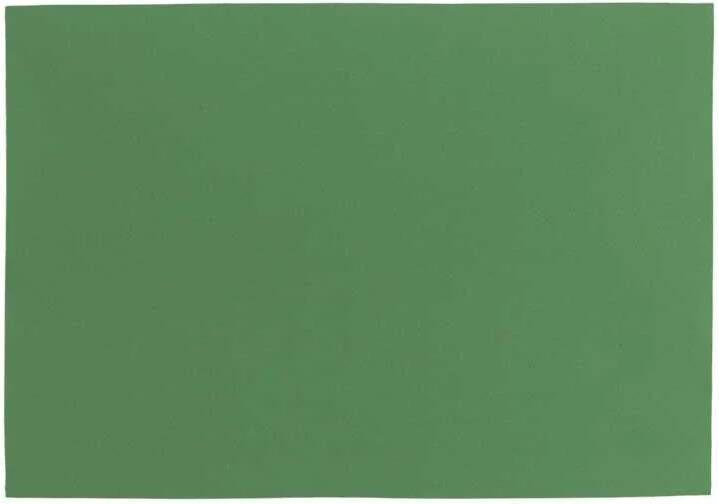 Unique Living Placemat Fonz 33x48cm Forest Green