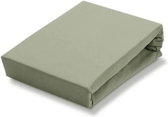 Vandyck Jersey Soft Hoeslaken Light Olive | 80 x 220 cm | Groen | Jersey Soft