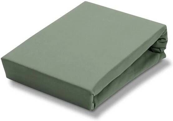 Vandyck Jersey Supreme Hoeslaken Olive | 180 x 220 cm | Groen