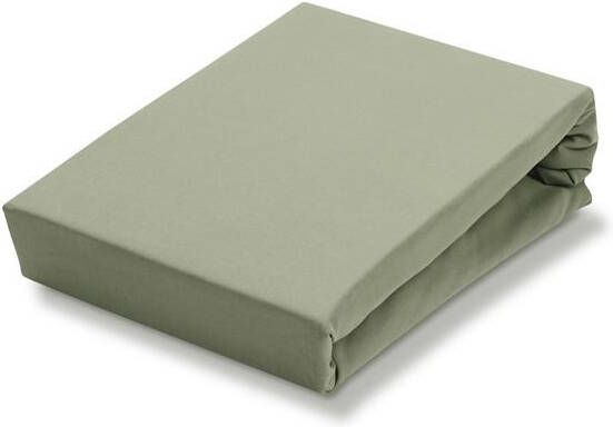 Vandyck Topper hoeslaken Light Olive-123 (Jersey Soft)