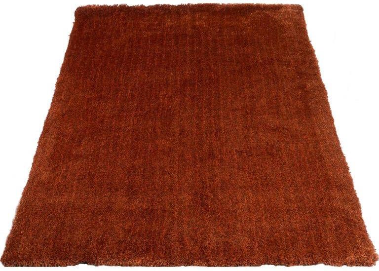 Veer Carpets Karpet Lago Terra 63 130 x 190 cm