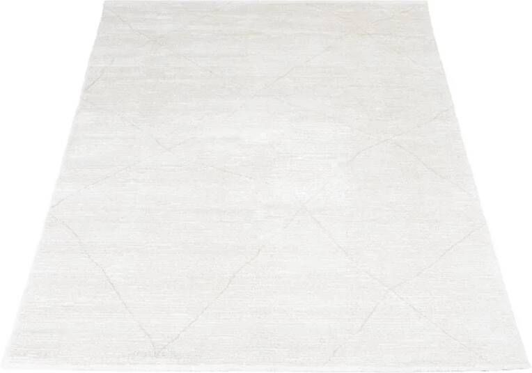 Veer Carpets Vloerkleed Nica 1606 240 x 340 cm