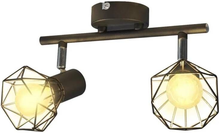 VidaXL Plafondlamp met 2 LED&apos;s industriële stijl zwart