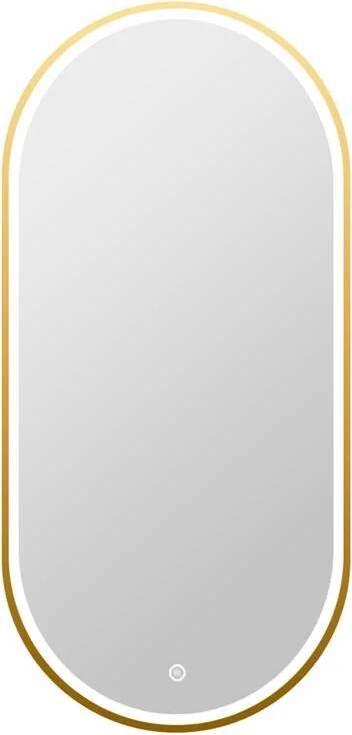 Vtw Living Badkamerspiegel Ovaal met Verlichting 50 x 100 cm Goud