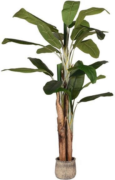 Vtw Living Kunstplant Musa Bananenplant Groen Kunststof 110 x 110 x 180 cm