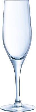 ELECTRA CHAMPAGNEGLAS S6 23CL