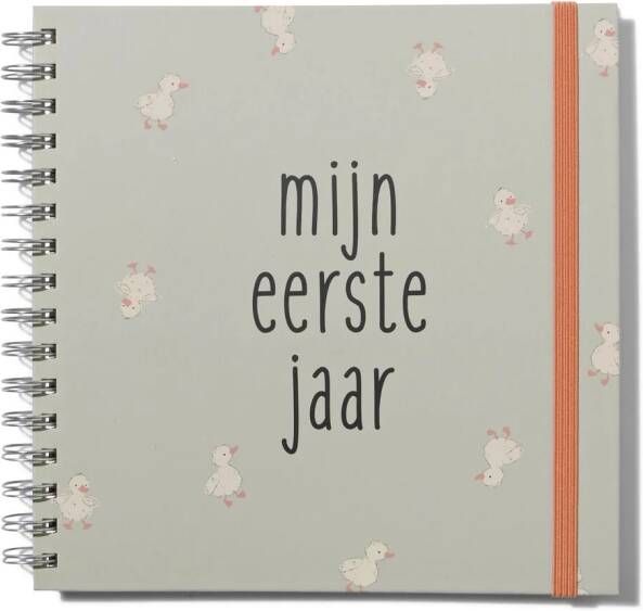 HEMA Babyboek 1e Jaar