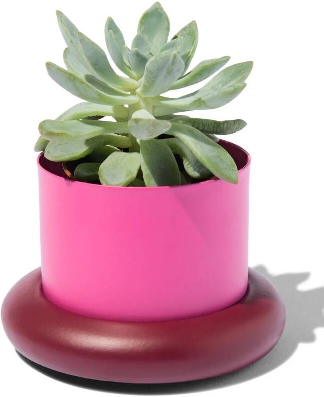 HEMA Bloempot Ø10x6.5cm Metaal Met Schotel Roze (felroze)