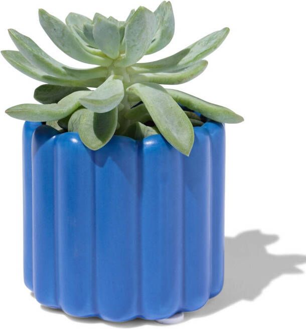 HEMA Bloempot Ø6.5x7cm Keramiek Ribbel Blauw (kobaltblauw)