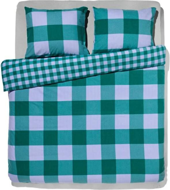 HEMA Dekbedovertrek Flanel 200x200 220 Ruit Groen (groen)