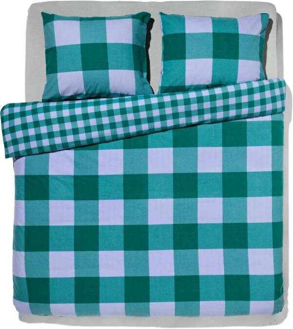 HEMA Dekbedovertrek Flanel 240x200 220 Ruit Groen (groen)