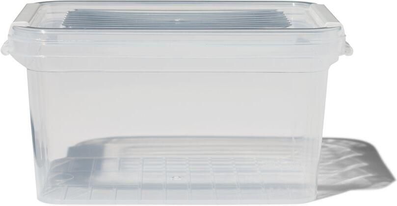 HEMA Opbergdoos met deksel 1.2L Dublin transparant 18x12x10 (transparant)