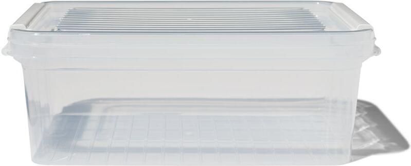HEMA Opbergdoos met deksel 2.8L Dublin transparant 25x17x10 (transparant)