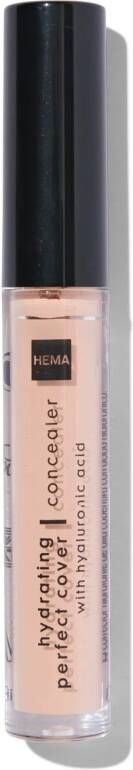 HEMA Hydrating Perfect Concealer 01 Beige (beige)