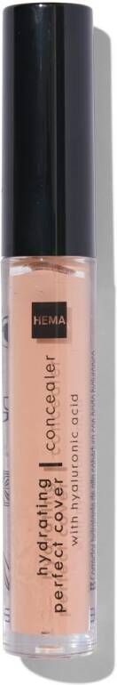 HEMA Hydrating Perfect Concealer 02 Honey (beige)