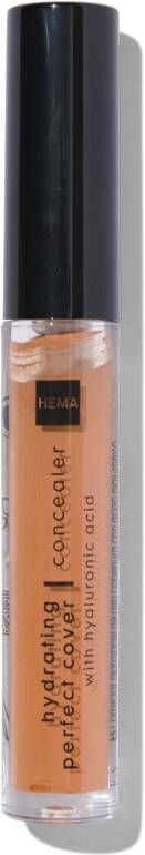 HEMA Hydrating Perfect Concealer 03 Dark (bruin)