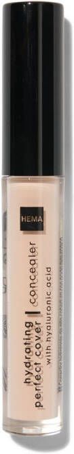 HEMA Hydrating Perfect Cover Concealer Vanilla 06 (ivoor)